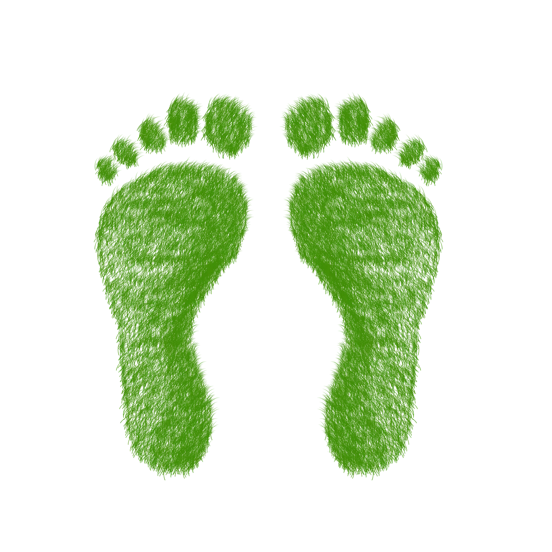 Green footprint